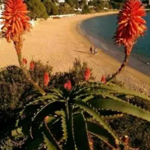 https://appartement-almadrava-roses.topcostabravahotels.com